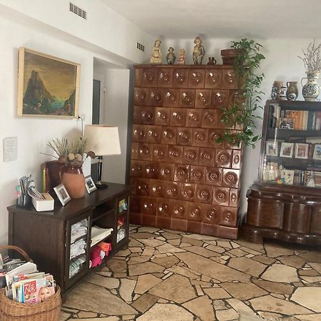 Apartman-Donau Tat Экстерьер фото
